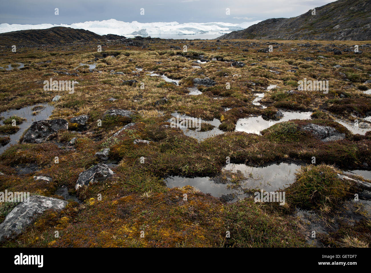 Environnement de l'Arctique, Ilulissat, Groenland. Banque D'Images