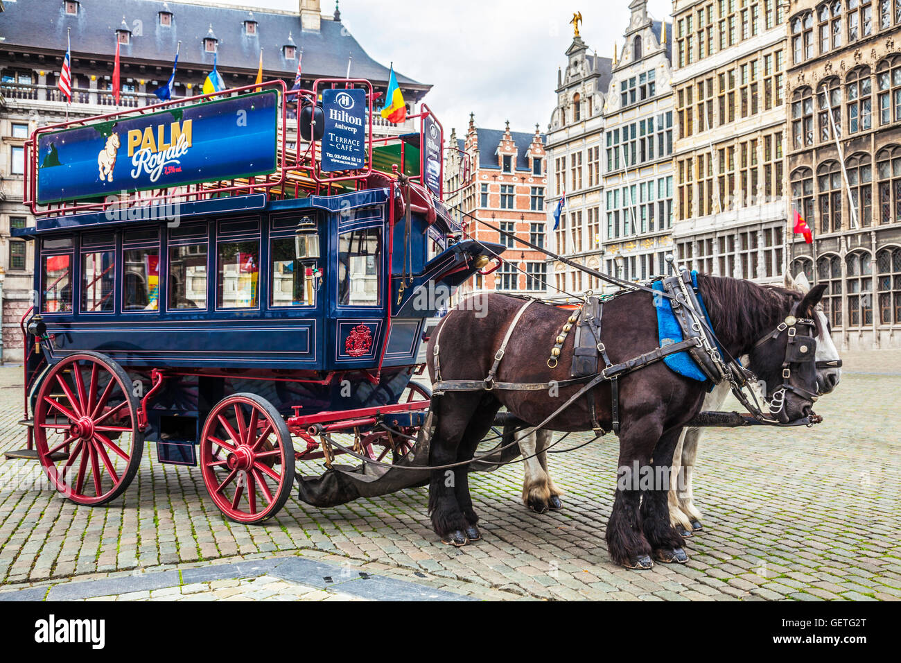 Cheval de tourisme et le transport dans la place principale d'Anvers. Banque D'Images