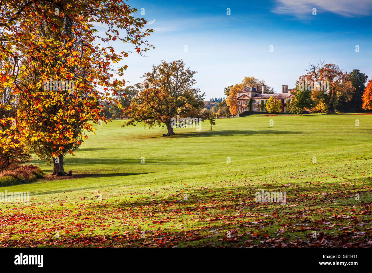 Le parc sur le Bowood Estate dans le Wiltshire en automne. Banque D'Images