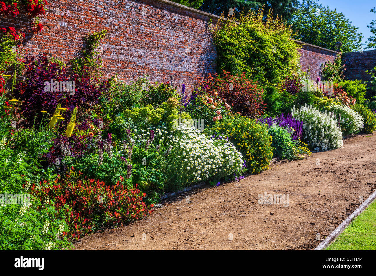 Frontière herbacées dans le jardin clos de Bowood House dans le Wiltshire. Banque D'Images