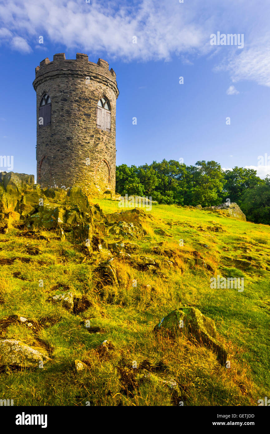 Le vieux John dans Bradgate Park Banque D'Images