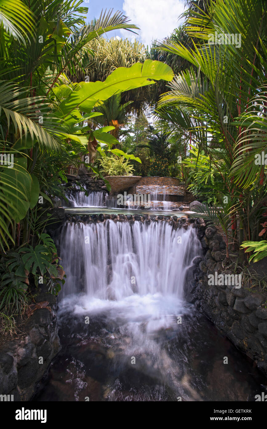 Tabacon Hot Springs, Costa Rica Banque D'Images