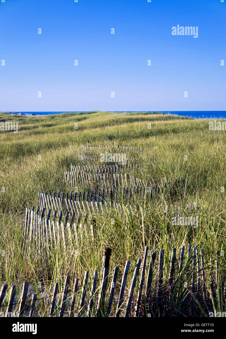 Clôture dune aide à protéger de l'érosion des dunes. Banque D'Images