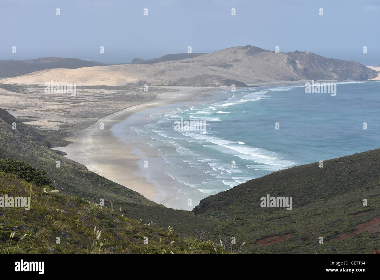 Les zones côtières par Cape Reinga NZ Banque D'Images
