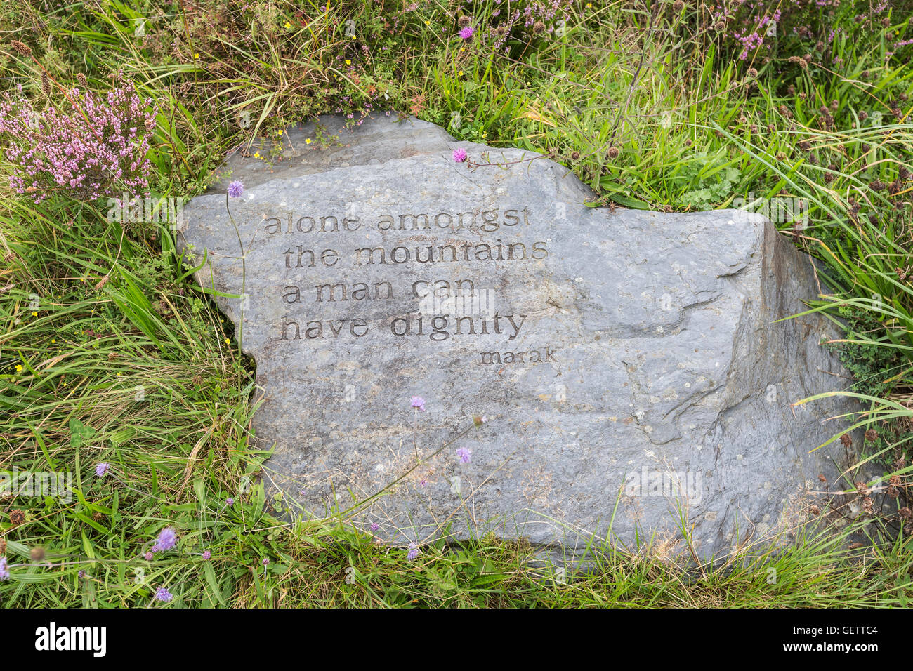 Devis sur pierre sur Onich Hill près de Glencoe. Banque D'Images
