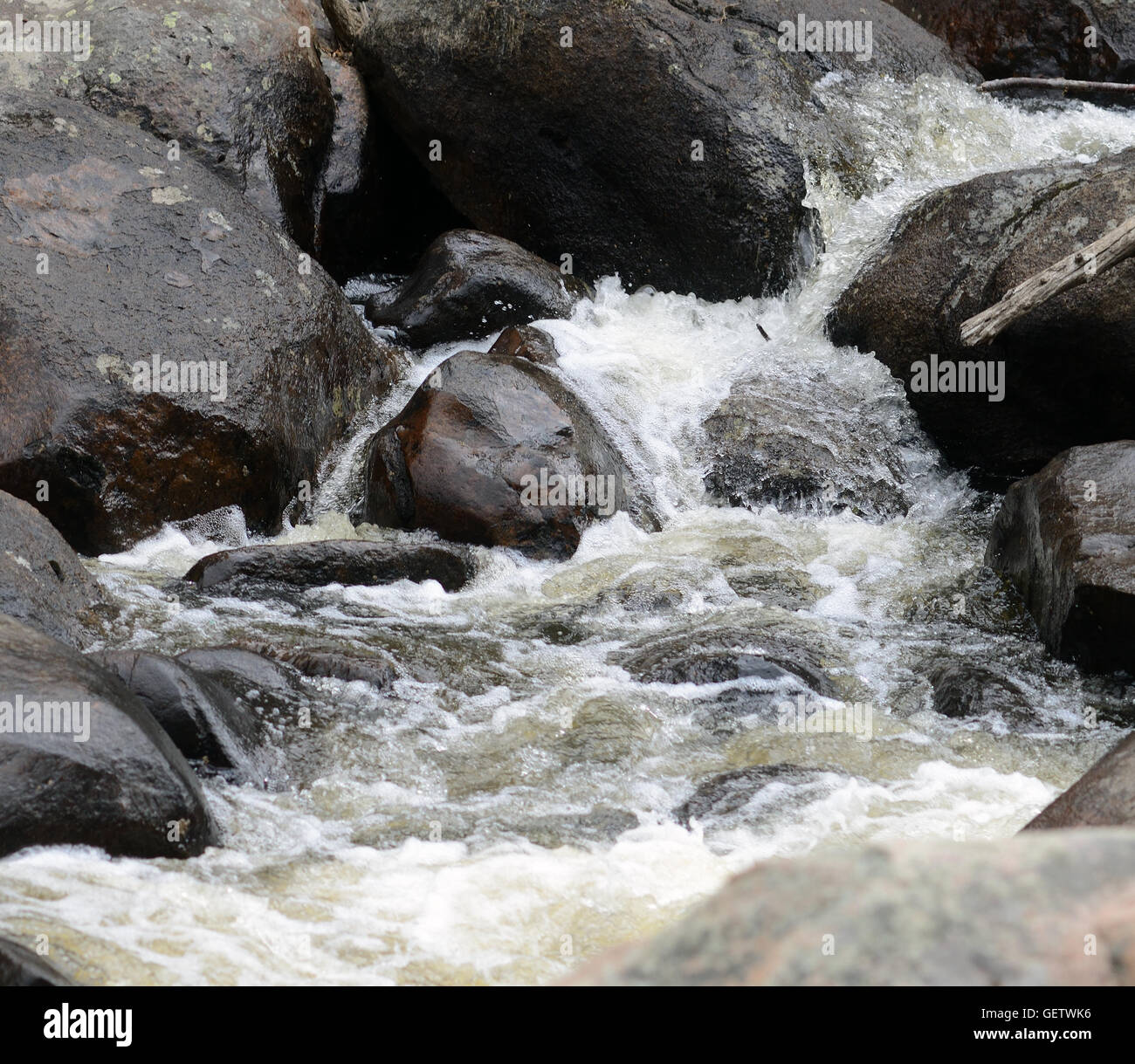 Ruisseau de montagne dans le Parc National des Montagnes Rocheuses au début du printemps Banque D'Images