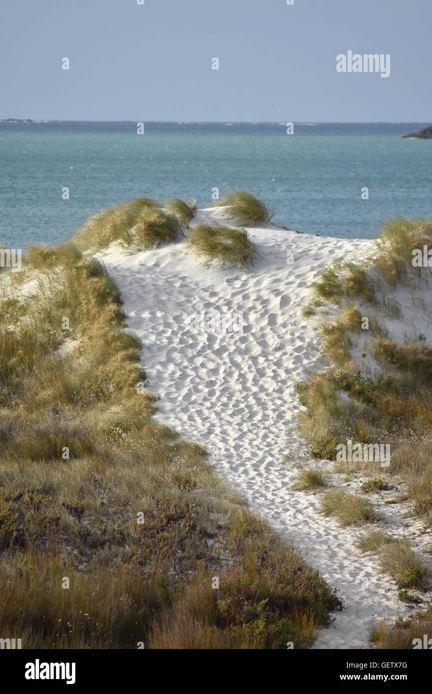 Dunes de sable blanc de Karikari Moana Northland NZ Banque D'Images
