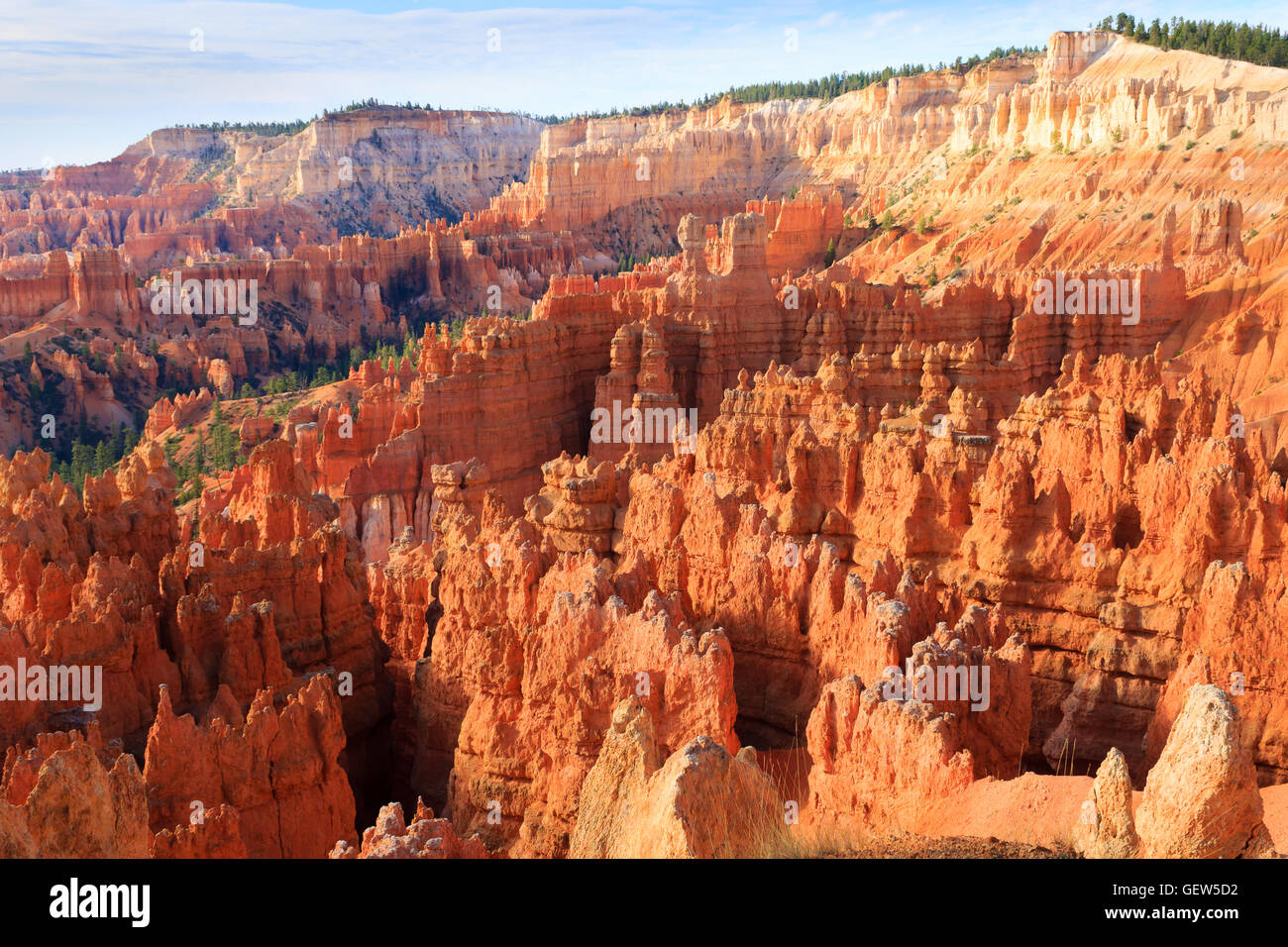 Panorama du Parc National de Bryce Canyon, Etats-Unis. Les cheminées, des formations géologiques. Beau paysage Banque D'Images