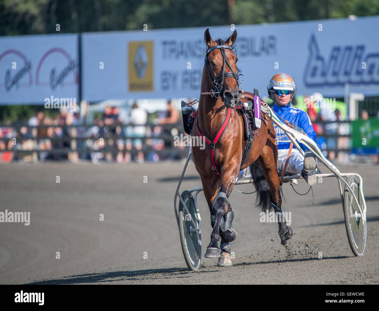 Björn Goop dans le sulky lors d'une réunion d'été à Axvalla harness racing track Banque D'Images