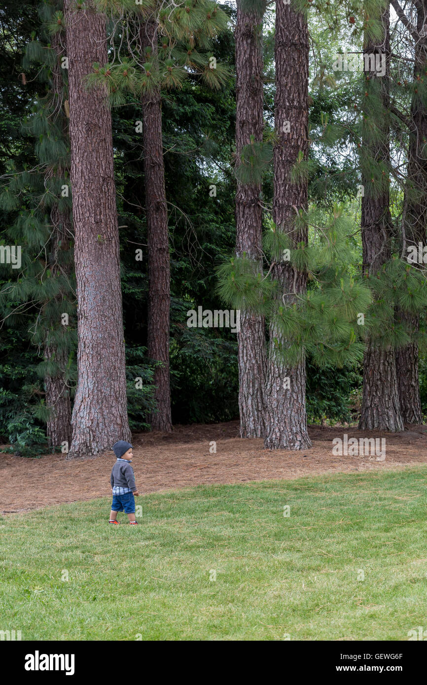 Jeune garçon, marcher dans l'herbe, Sonoma State University, ville, Rohnert Park, dans le Comté de Sonoma, en Californie Banque D'Images