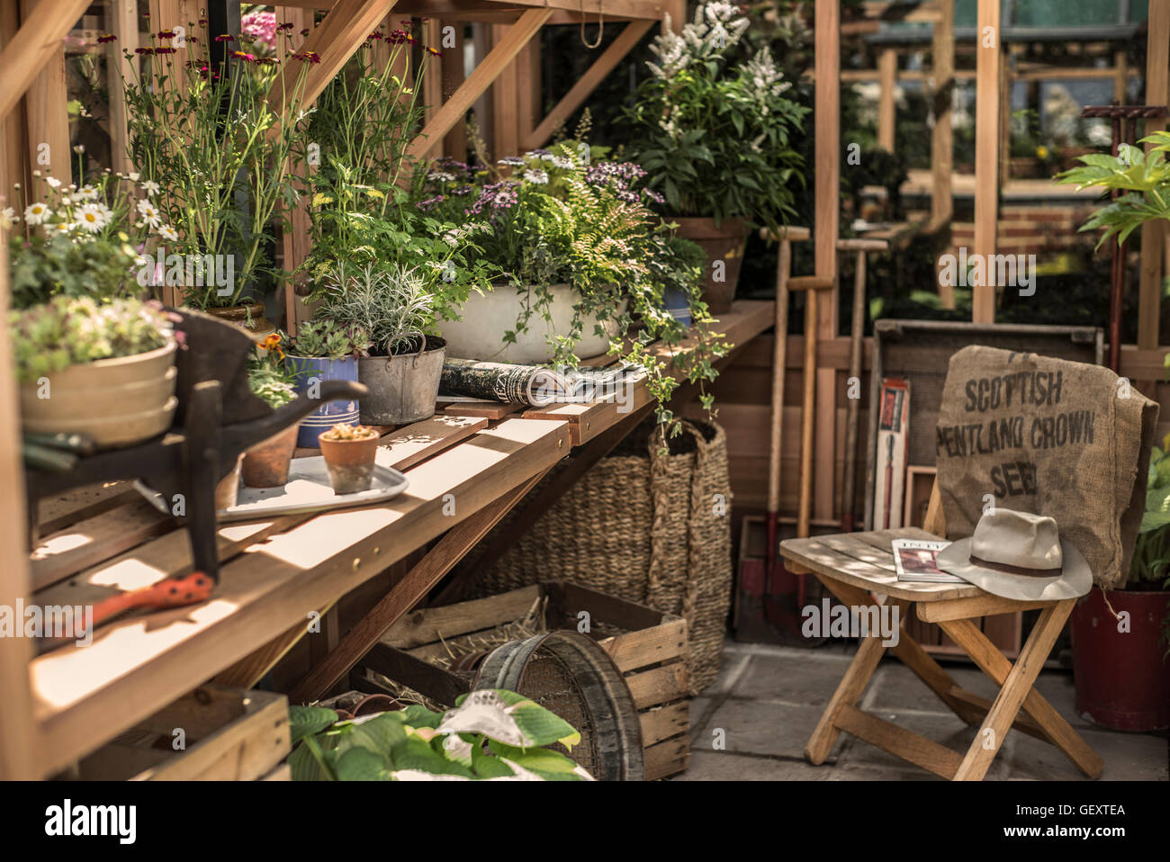 Les RHS Chelsea Flower Show qui a eu lieu dans l'enceinte de l'Hôpital Royal de Chelsea à Londres. Banque D'Images