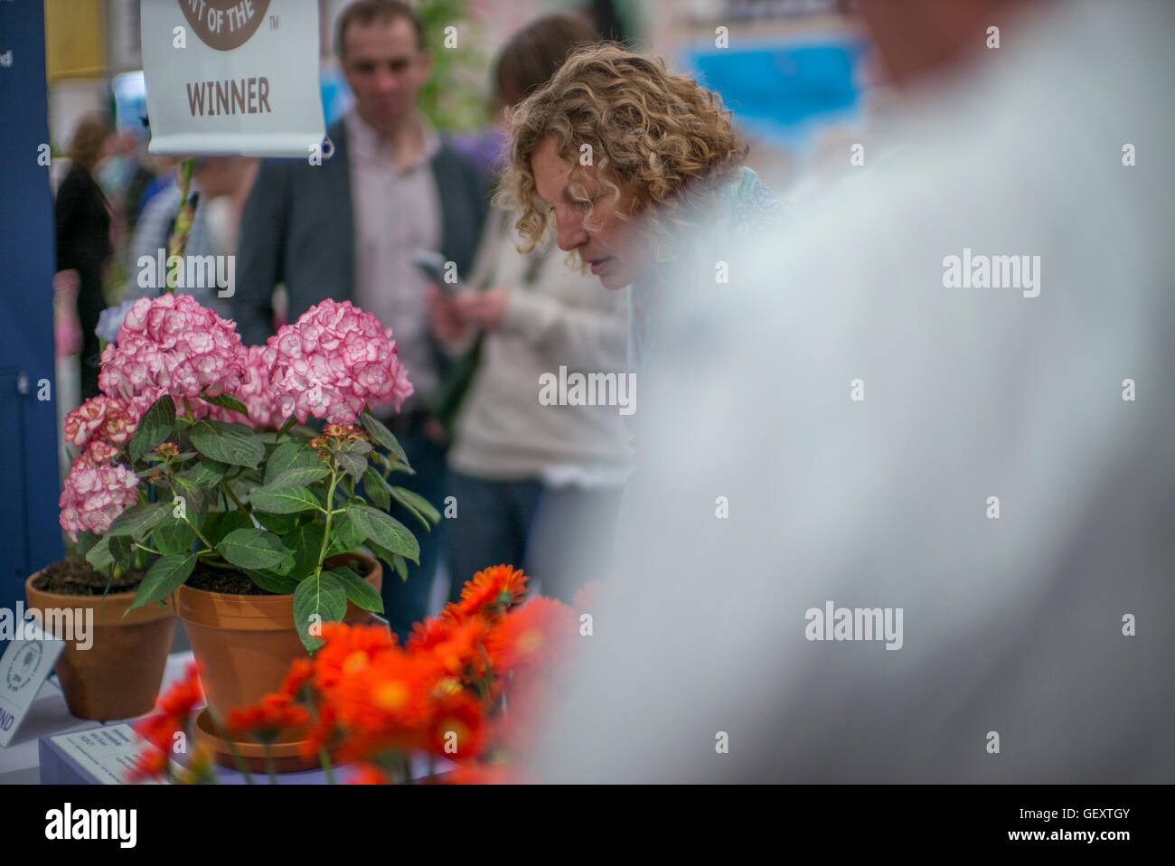 Les RHS Chelsea Flower Show qui a eu lieu dans l'enceinte de l'Hôpital Royal de Chelsea à Londres. Banque D'Images