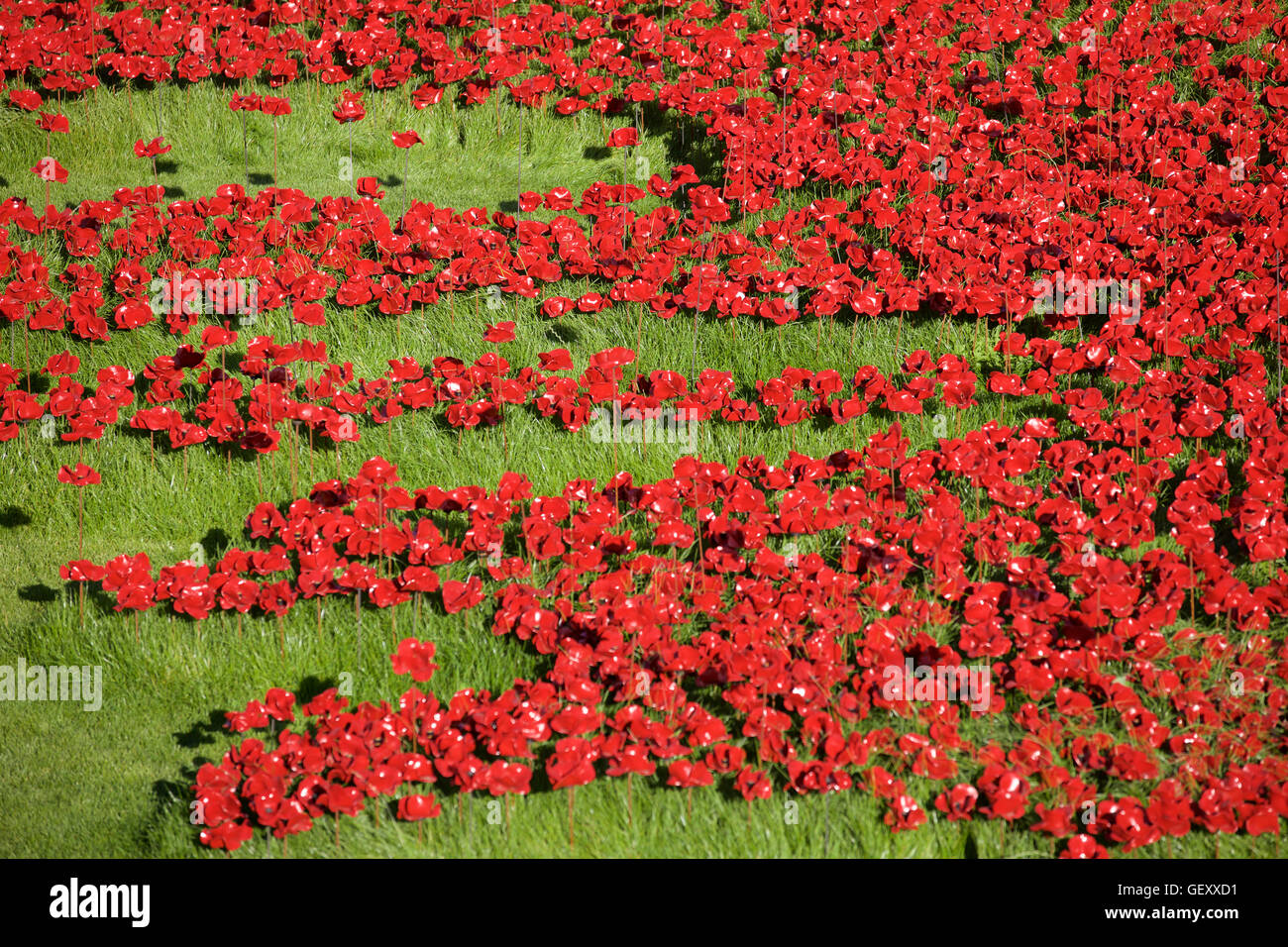 Les terres et les mers de sang ont balayé de rouge l'installation à la Tour de Londres marquant 100 ans depuis la 1ère guerre mondiale. Banque D'Images