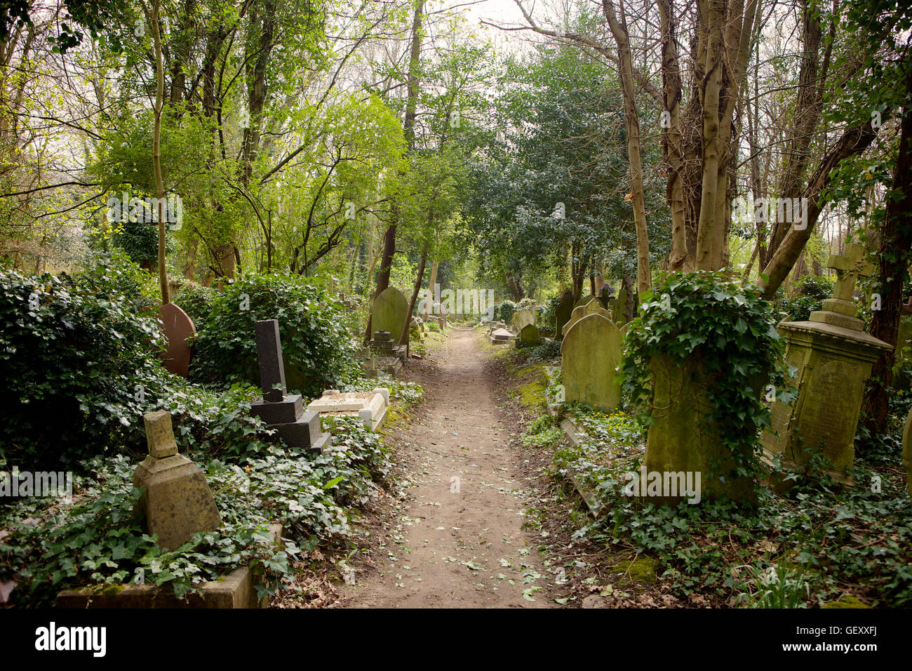 Tombes au Cimetière de Highgate. Banque D'Images