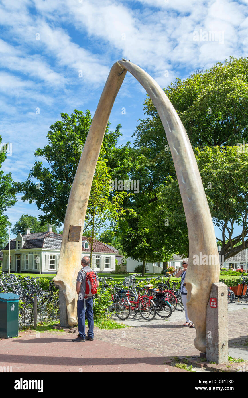 Mâchoire inférieure d'une baleine bleue, vestige de l'industrie baleinière, dans le village de Schiermonnikoog, Frise, Pays-Bas. Banque D'Images