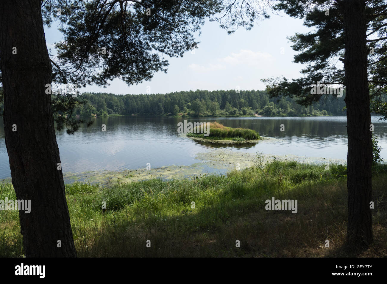 Rivière et une petite île dans l'été Banque D'Images