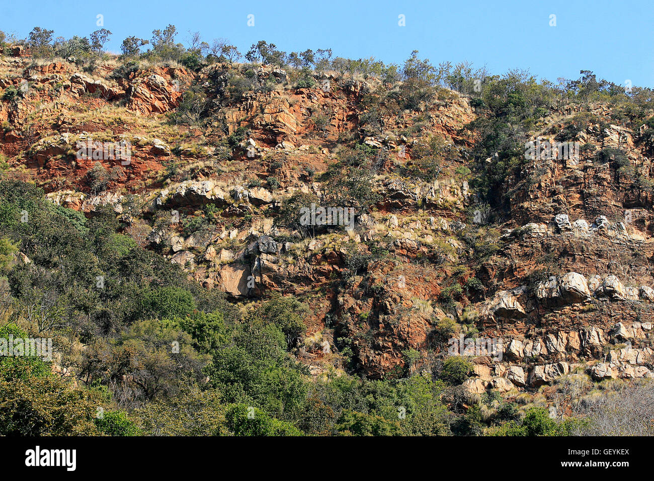 Côté montagne, Walter Sisulu National Botanical Gardens, Pretoria, Johannesburg, Gauteng, Afrique du Sud, 11/06/2011 Banque D'Images