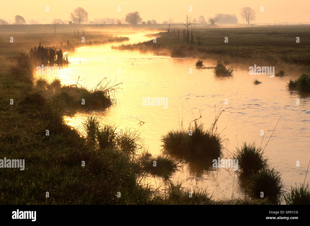 Géographie / voyage, Autriche, Burgenland, 'naturel' dans la rivière Raab, lumière dorée, Banque D'Images
