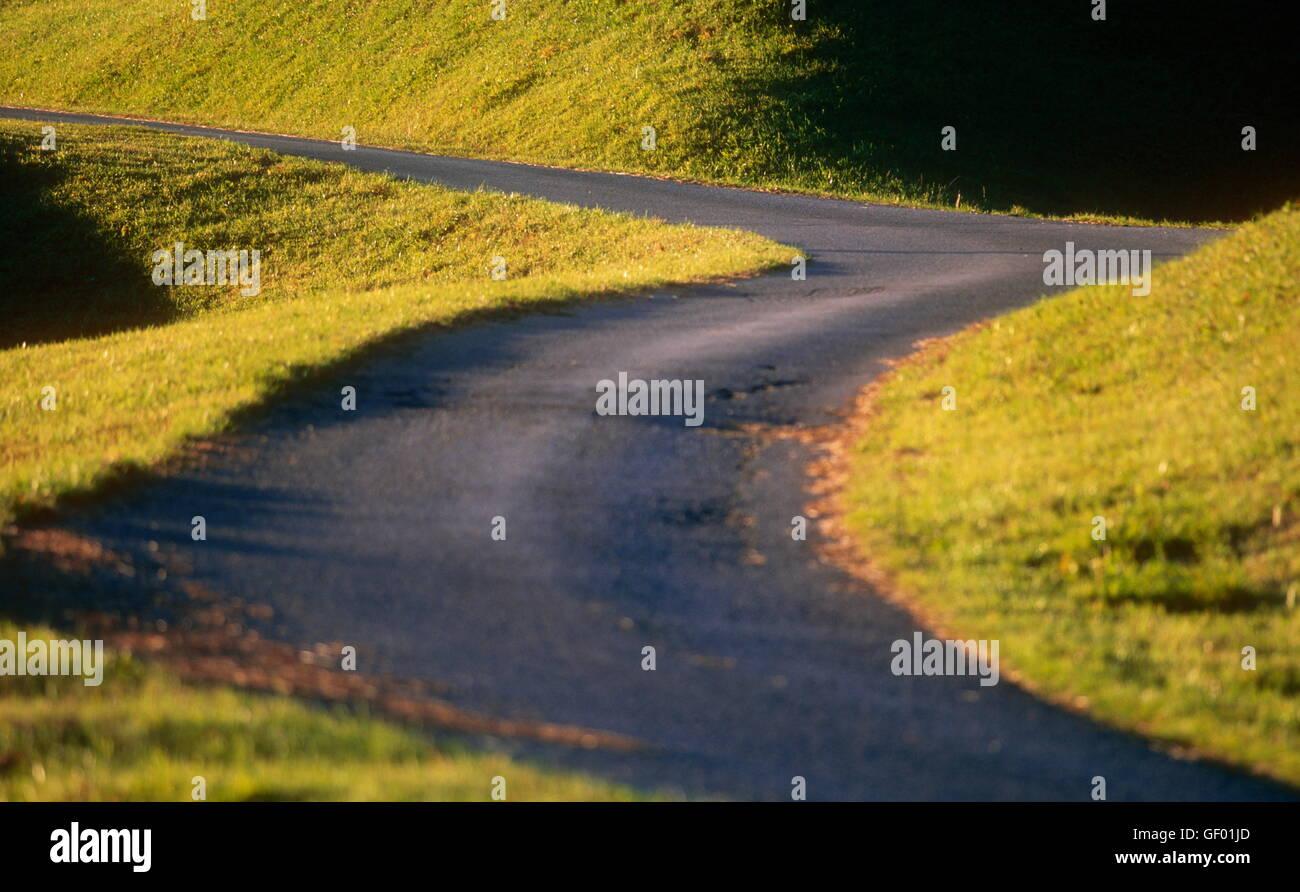 Géographie / voyage, Autriche, Vorarlberg, slim route de montagne entre prairies, Banque D'Images