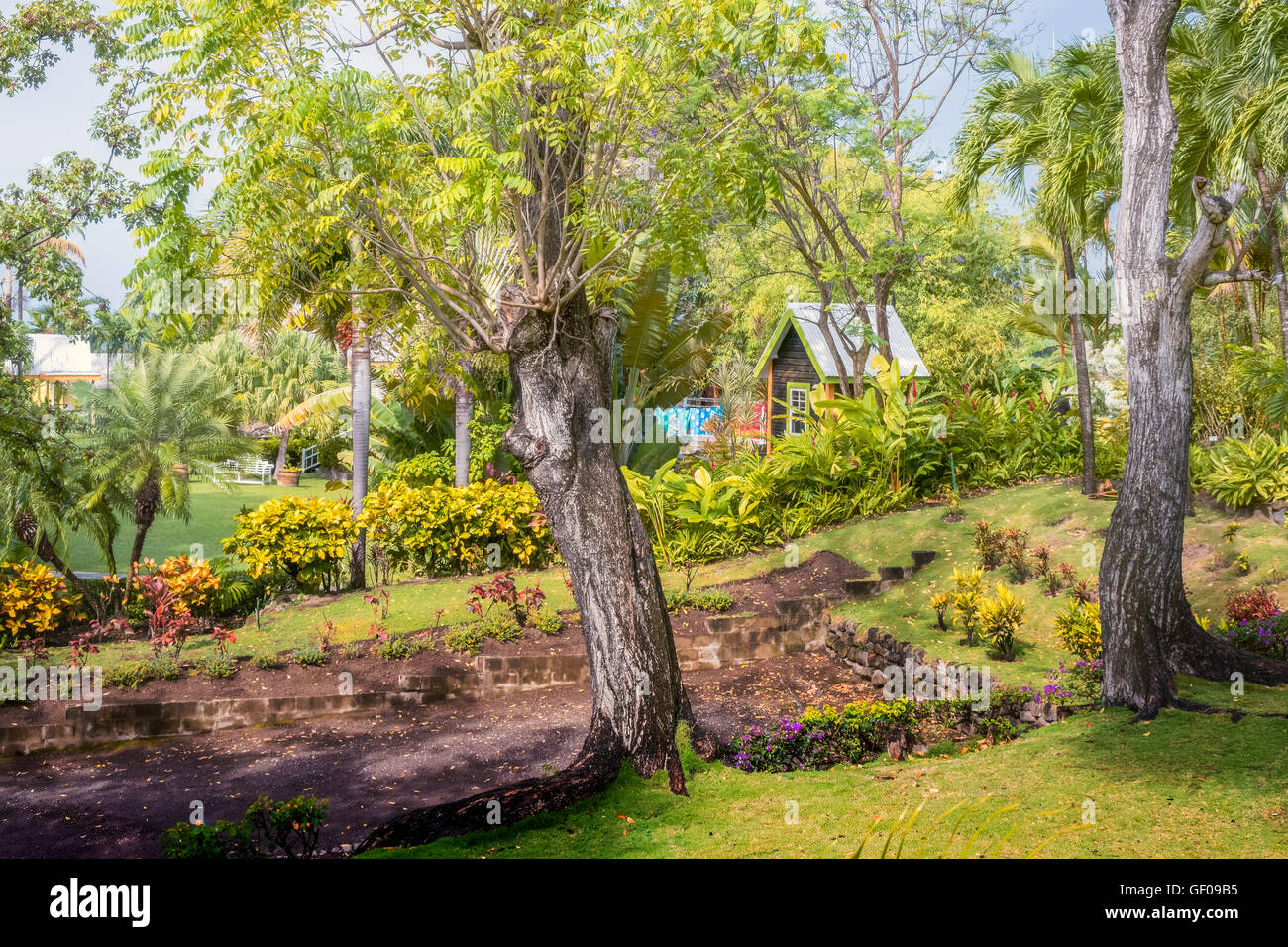 Le jardin luxuriant de Romney Manor ST. Kitts Antilles Banque D'Images