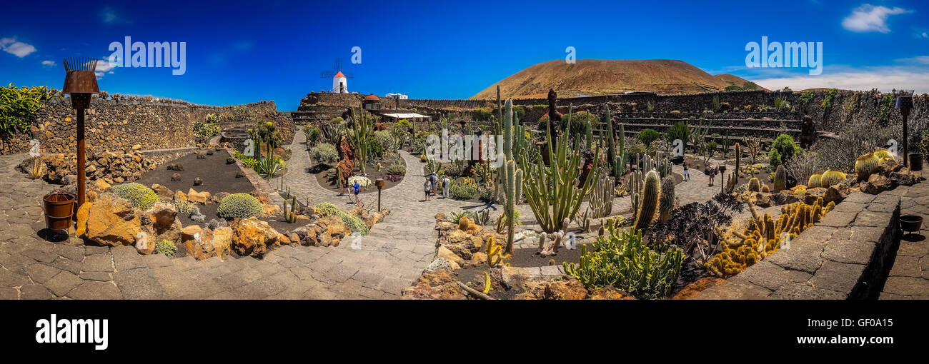 Vue panoramique sur le jardin de cactus (jardin de cactus) conçue par César Manrique, Lanzarote, îles Canaries, Espagne. Ta photo Banque D'Images