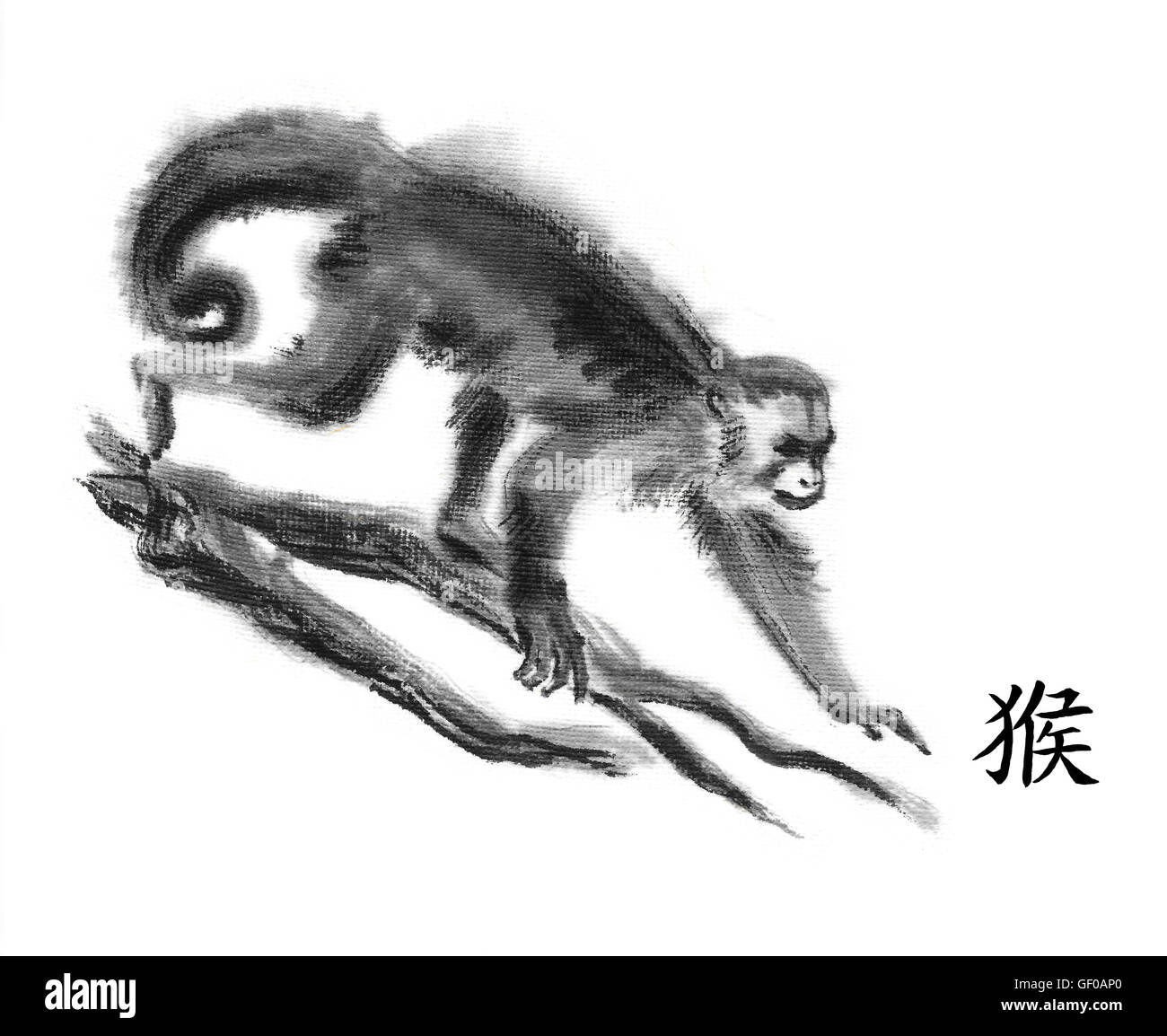 Peinture encre oriental singe avec 'Monkey' hiéroglyphe chinois. La marche des capucins gracile sur les branches d'arbres. Isolated on white Banque D'Images