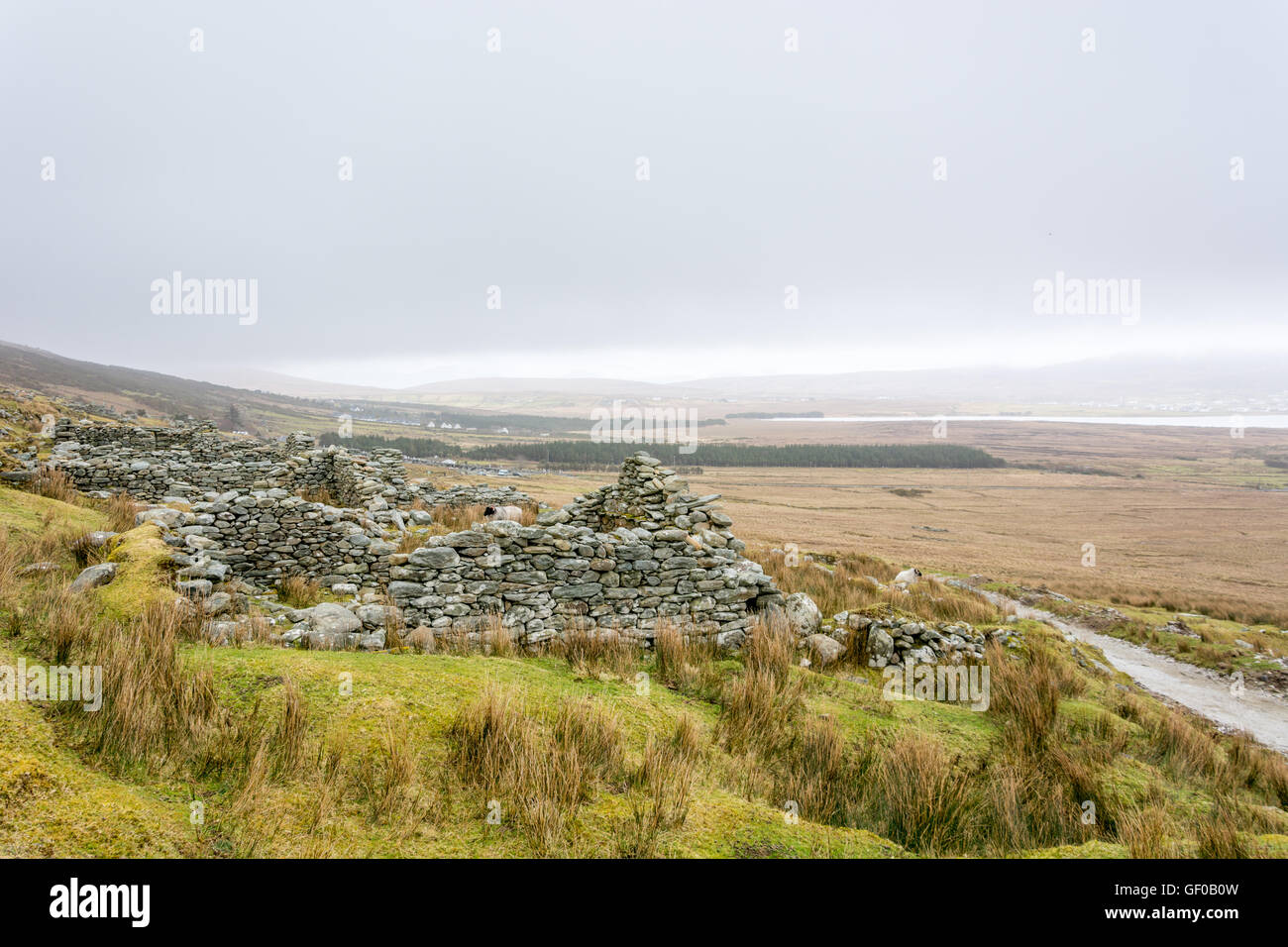 Paysage pittoresque ,le sud de l'Irlande, les montagnes,eau,hills,arbres,paysage,beauté Banque D'Images