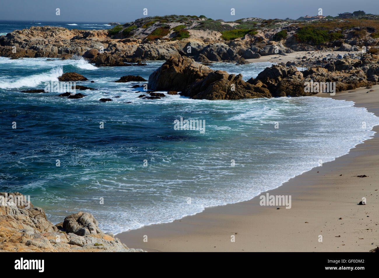 Cove Beach, parc d'état d'Asilomar, Pacific Grove, Californie Banque D'Images
