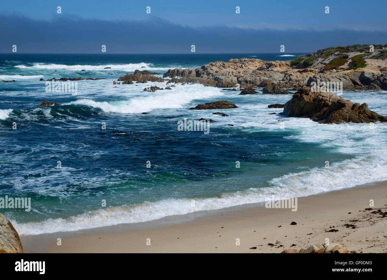Cove Beach, parc d'état d'Asilomar, Pacific Grove, Californie Banque D'Images