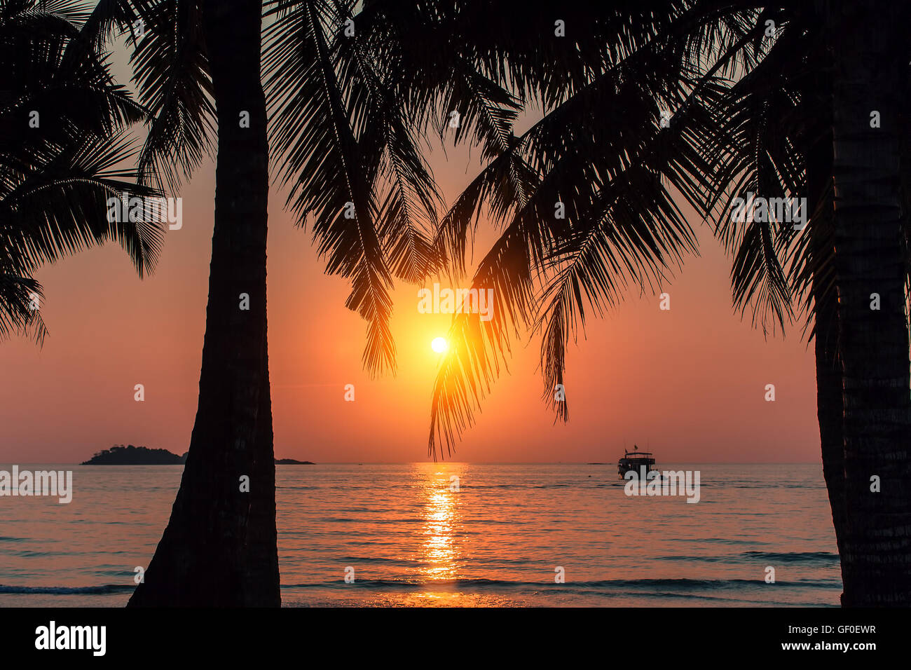 Magnifique coucher de soleil rouge sang sur la côte par le biais de feuilles de palmier. Banque D'Images