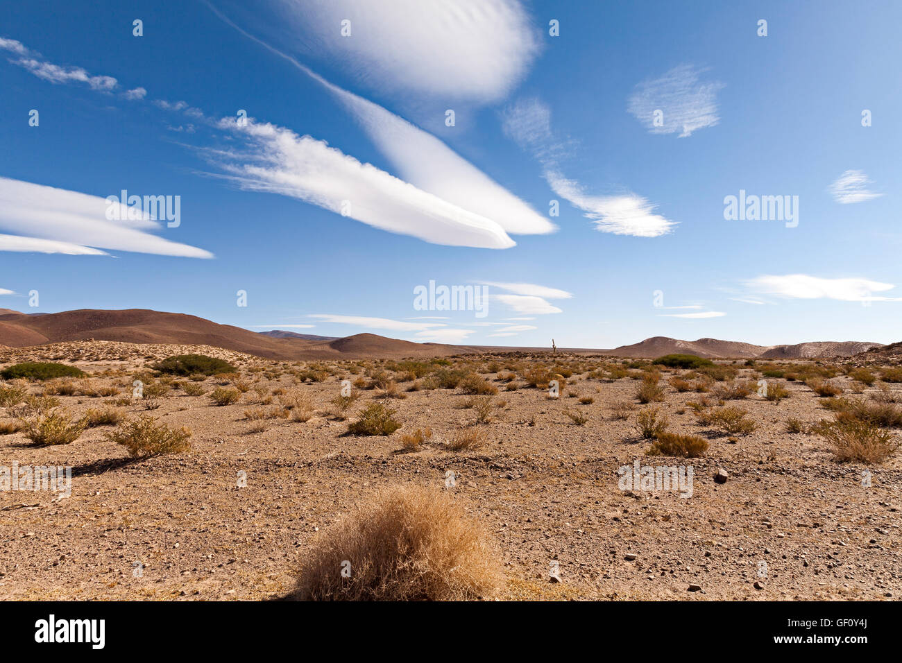 Panorama du désert dans les Andes, province de Jujuy, Argentine Banque D'Images