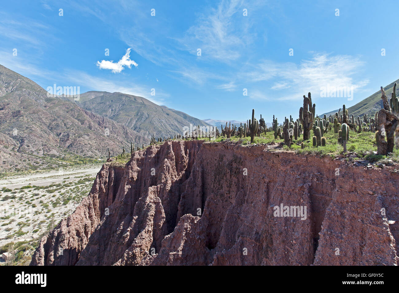 Paysage près de Juella, Province de Jujuy, Argentine Banque D'Images
