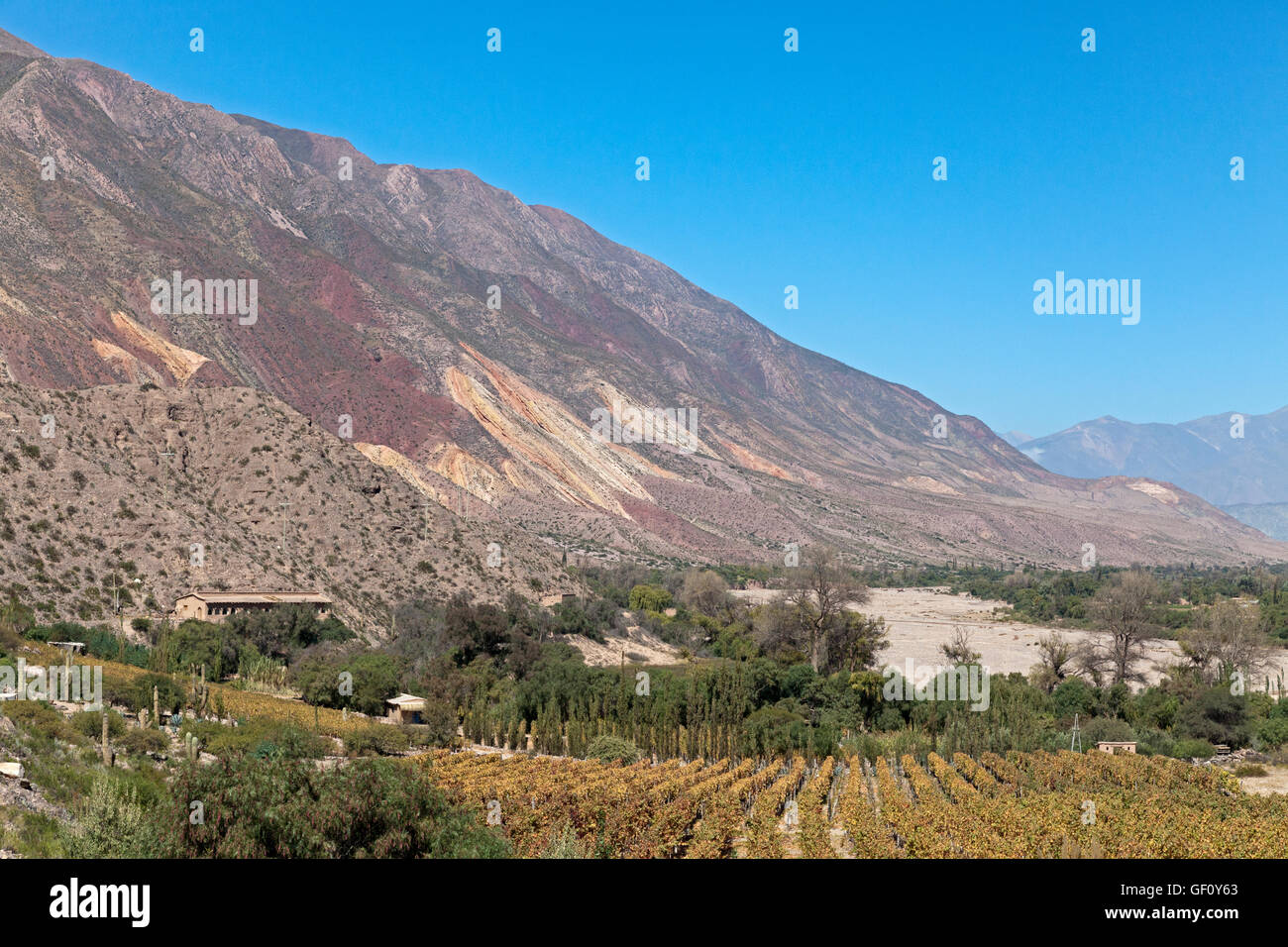 La viticulture dans les Andes, Maimara, Argentine Banque D'Images