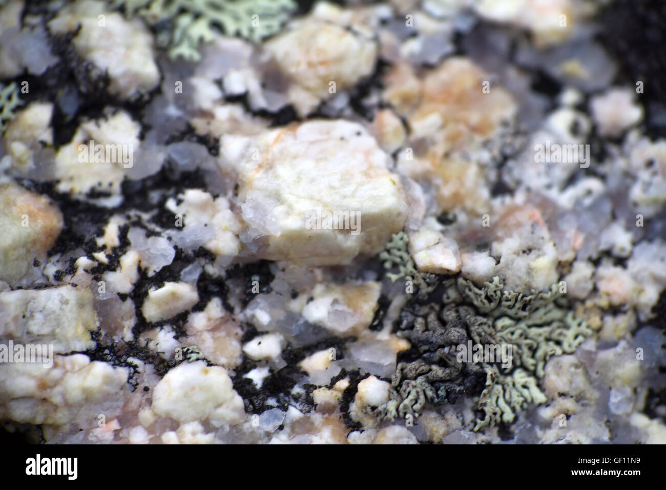 Morceau De Roche Mele De Metaux Roche ressemblant à du marbre Banque de photographies et d'images à haute  résolution - Alamy