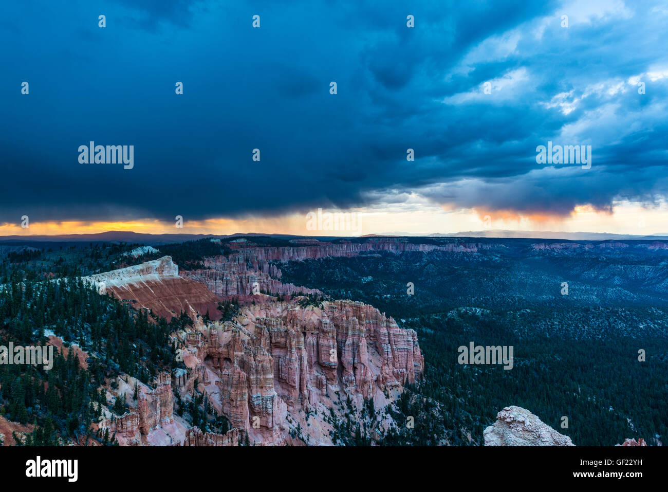 Rainbow Point au cours d'un orage, Bryce Canyon National Park, Utah, USA Banque D'Images