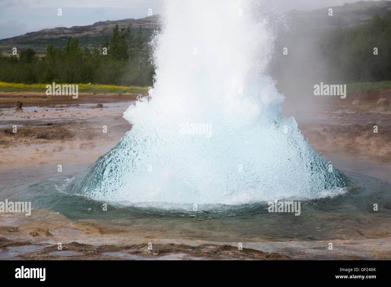 Strokkur Geysir Geyser en éruption Islande champ géothermique LA008887 Banque D'Images