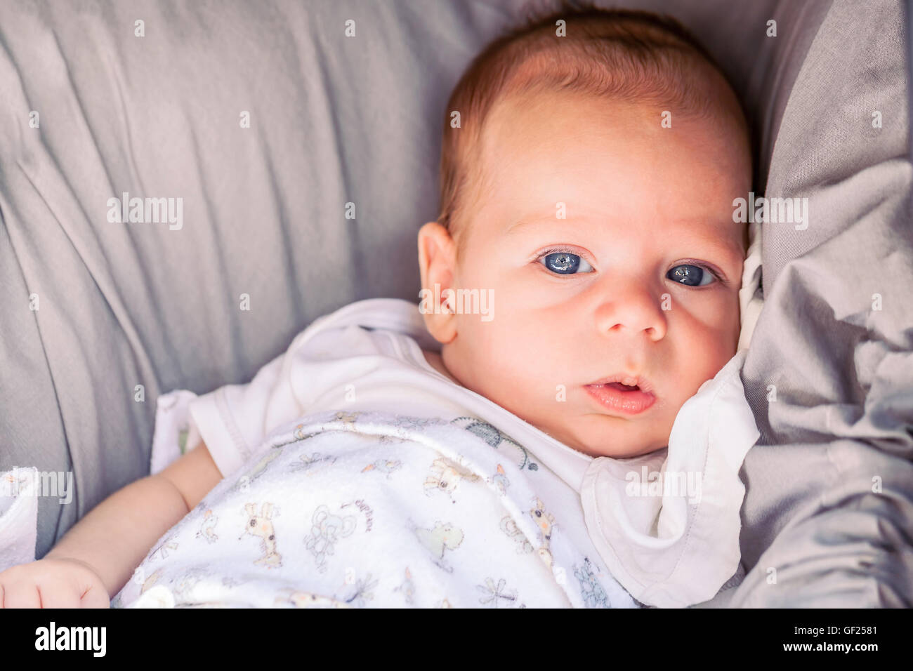 Portrait Of Cute 4 mois Bébé garçon avec les yeux bleus puissants assis dans la poussette Banque D'Images