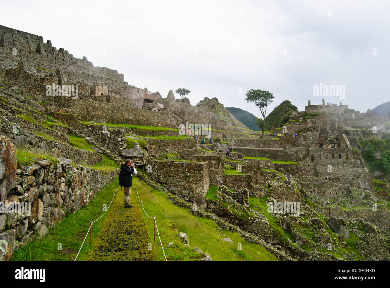 Le Machu Picchu dans la brume Banque D'Images