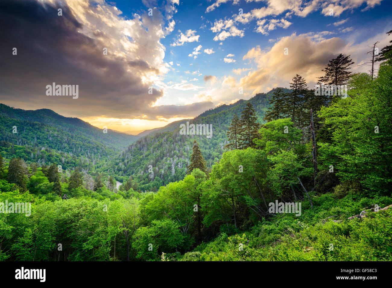 Coucher du soleil à la Newfound Gap dans les Great Smoky Mountains. Banque D'Images