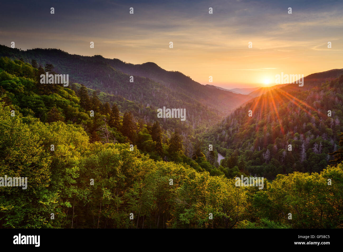 Coucher du soleil à la Newfound Gap dans les Great Smoky Mountains. Banque D'Images