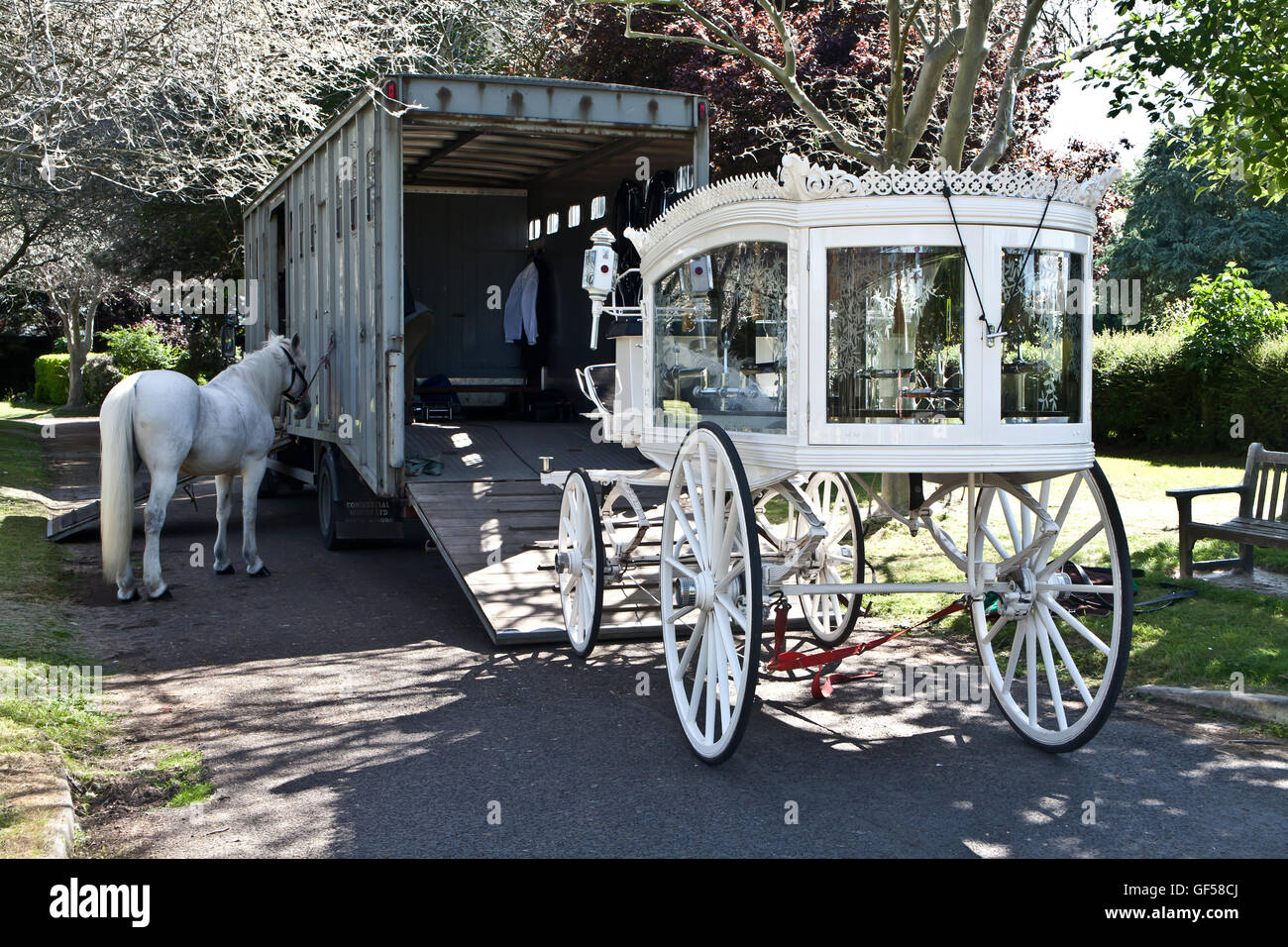 Transport Funéraire blanc et cheval dans cimetière, Southend, Essex. Banque D'Images