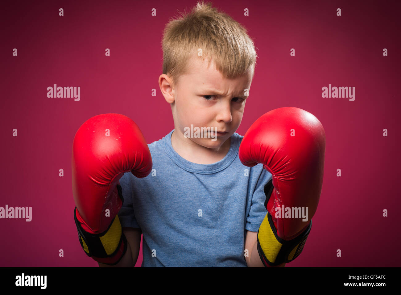 Little Boy wearing red boxing gloves Banque D'Images