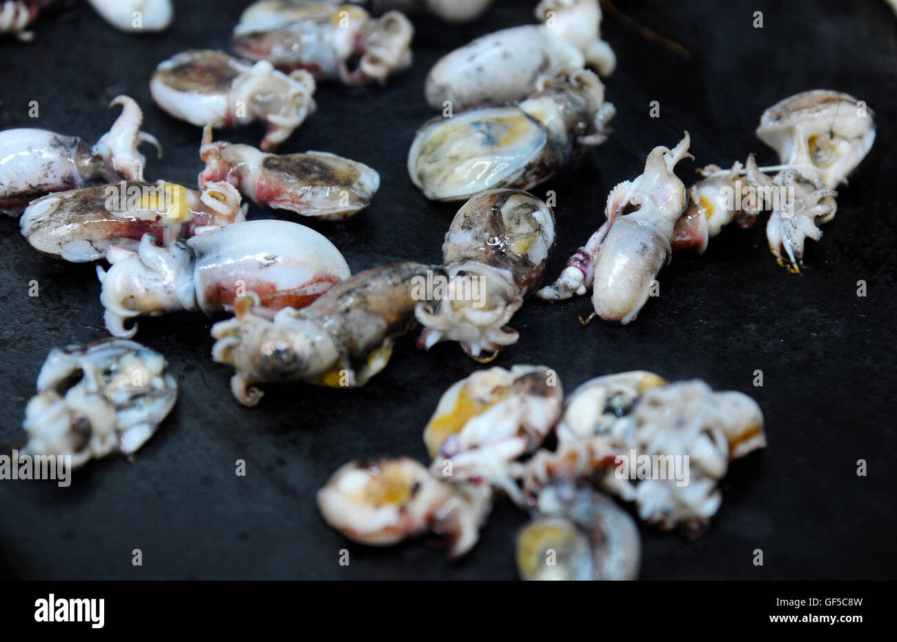 Chipirones Banque D Image Et Photos Alamy