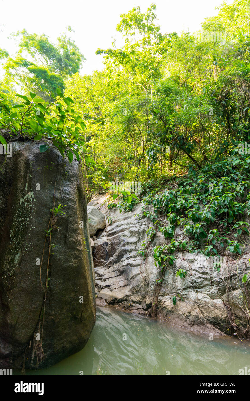 Wang Sao Thong waterfall drainé en été, Koh Samui, Thaïlande Banque D'Images