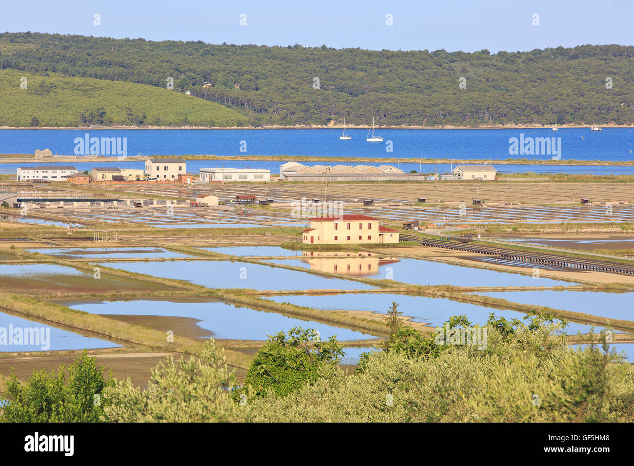 Vue panoramique de la salines de Sečovlje, partie de l'Sečovlje Salina dans parc paysage Sečovlje, Slovénie Banque D'Images