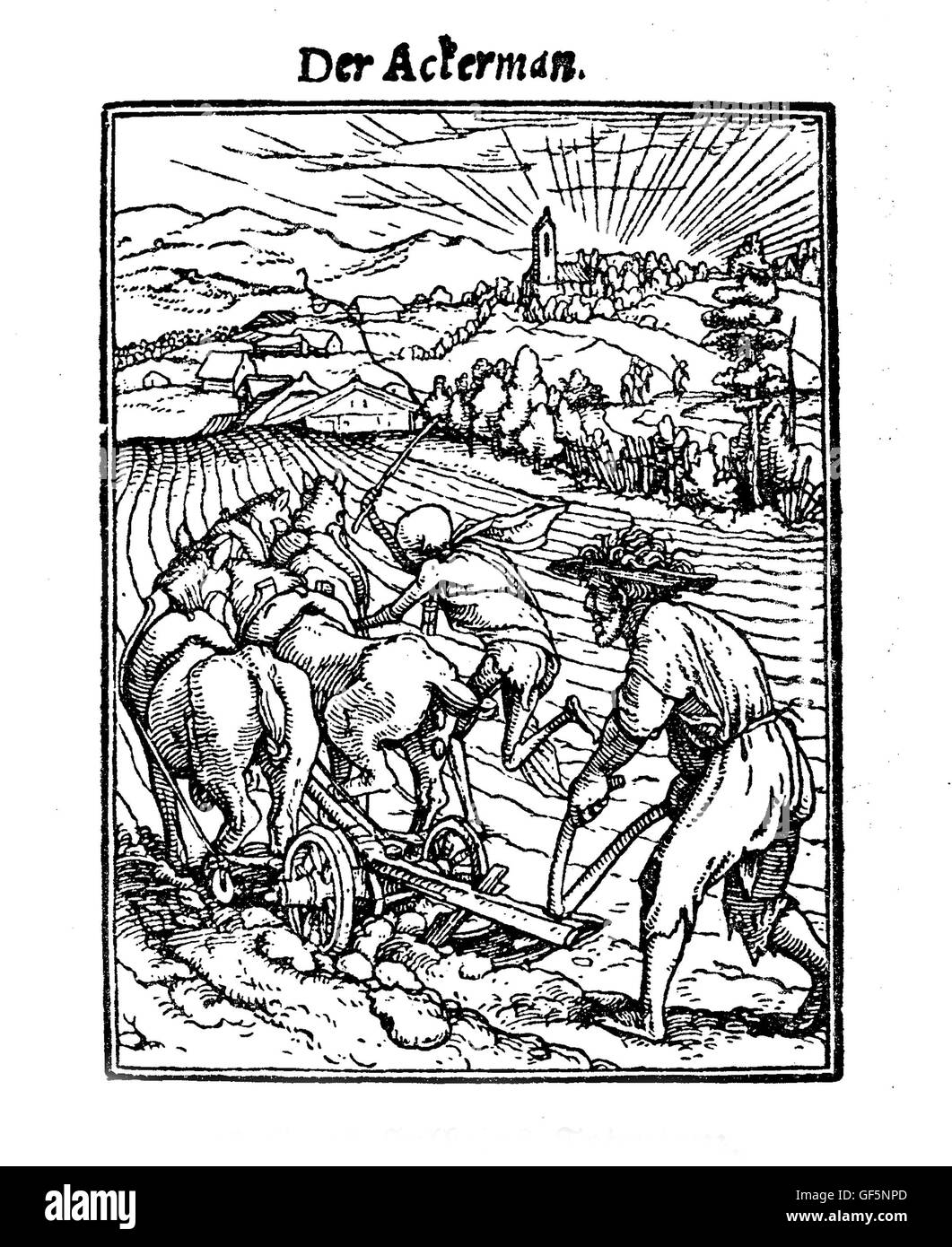 XV siècle, la mort comme l'plower, illustration inspirée de Hans Holbein's 'Totentanz' ('La danse macabre", un recueil de 40 gravures sur bois) : une scène bucolique trompeusement lésée par une mort-comme la figure fouetter les chevaux. Banque D'Images