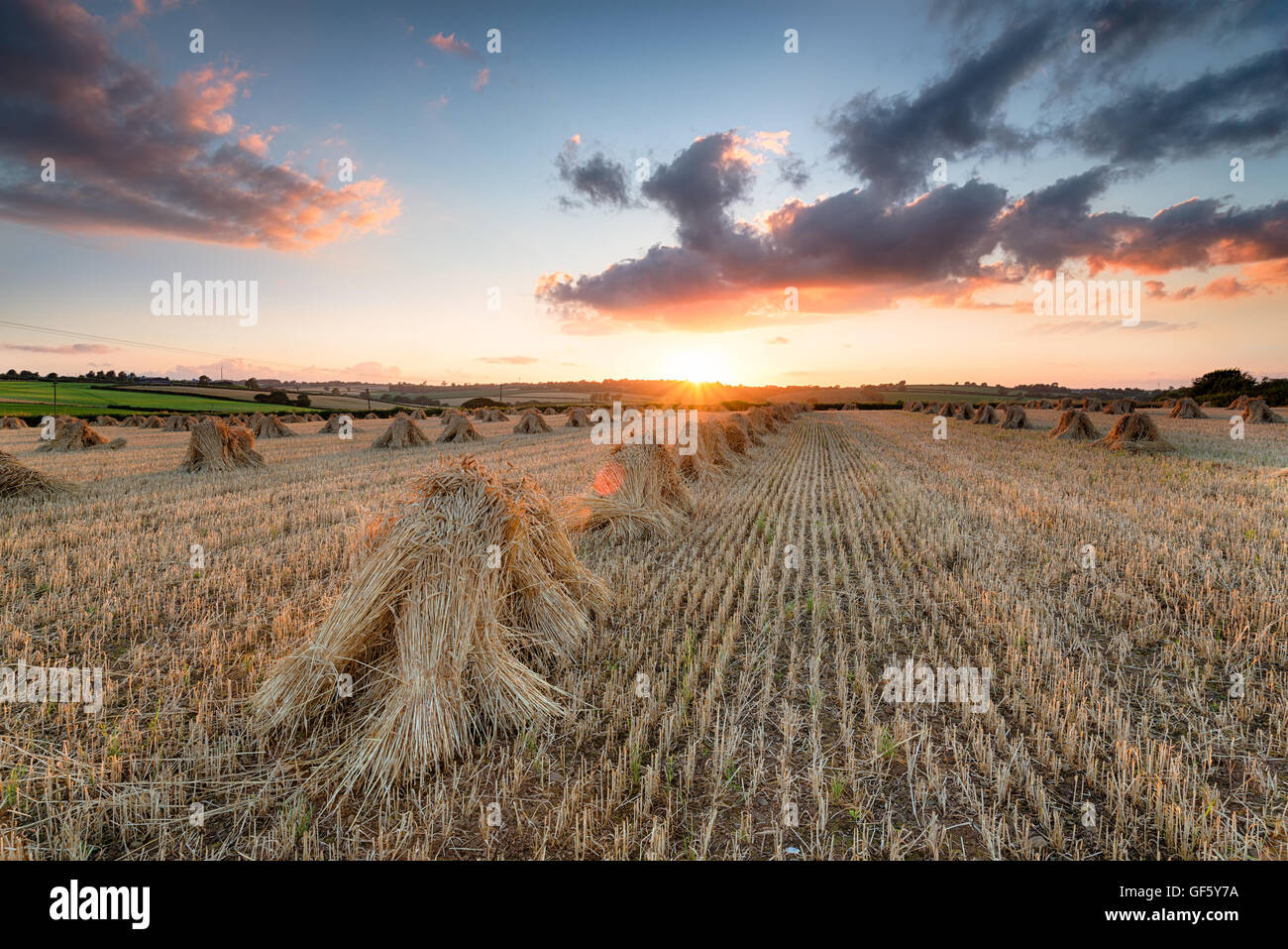 Magnifique coucher de soleil sur sheafs de blé dans la campagne du Devon Banque D'Images