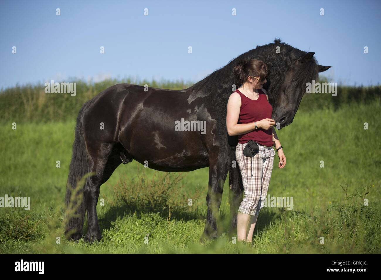 Femme et cheval Frison Banque D'Images