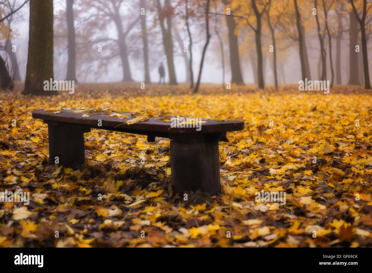 Banc avec feuilles d'automne. Dans l'arrière-plan homme seul dans le parc.jaune chaud couleurs. Foggy journée calme dans le parc. Banque D'Images