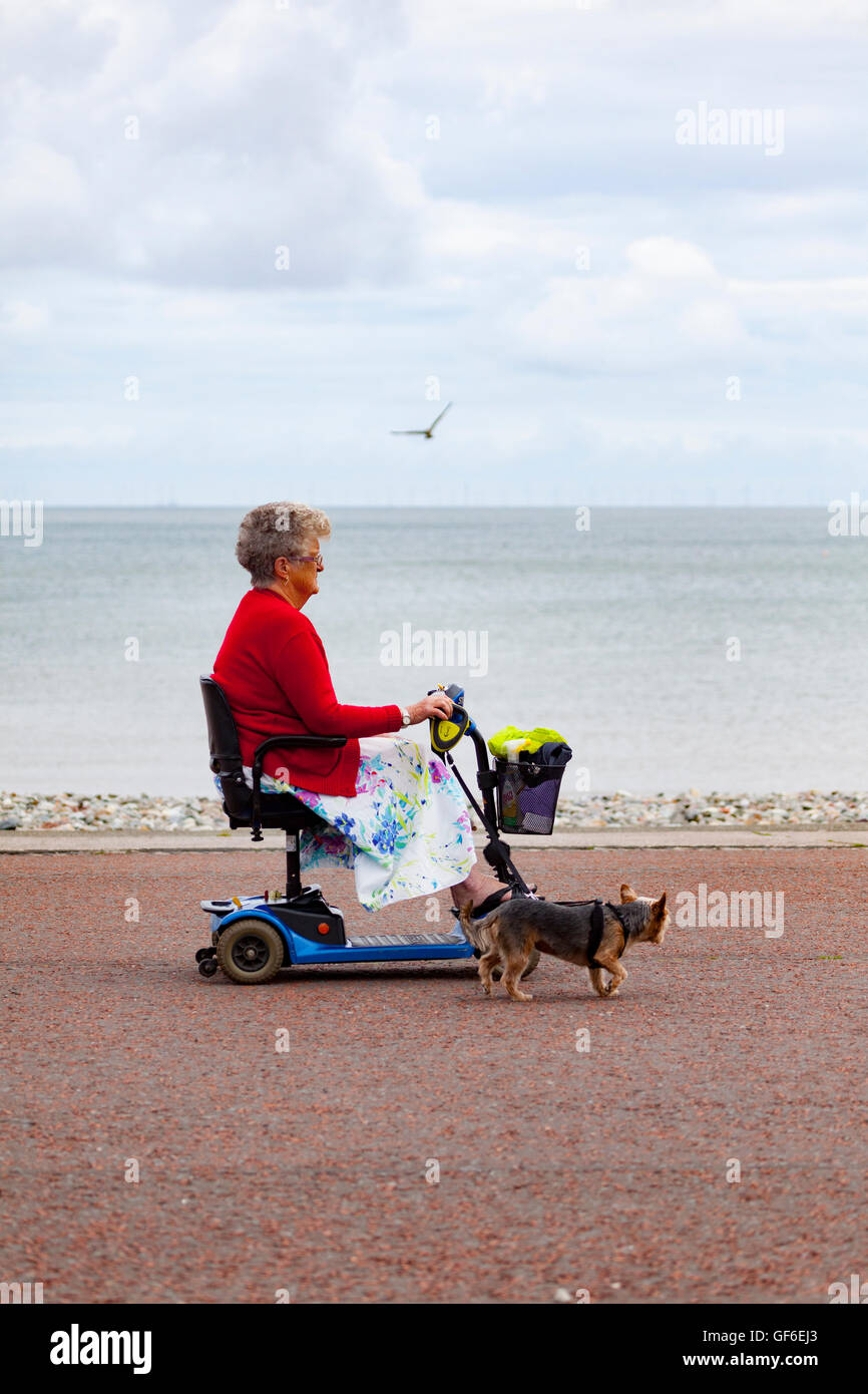 Femme âgée en tenant son chien pour une promenade sur la promenade de Llandudno avec l'aide de son fauteuil roulant, Pays de Galles, Royaume-Uni Banque D'Images